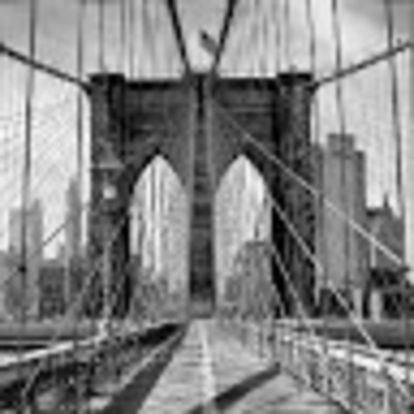 Meet your Posher, Patrick - Picture 1 of 1